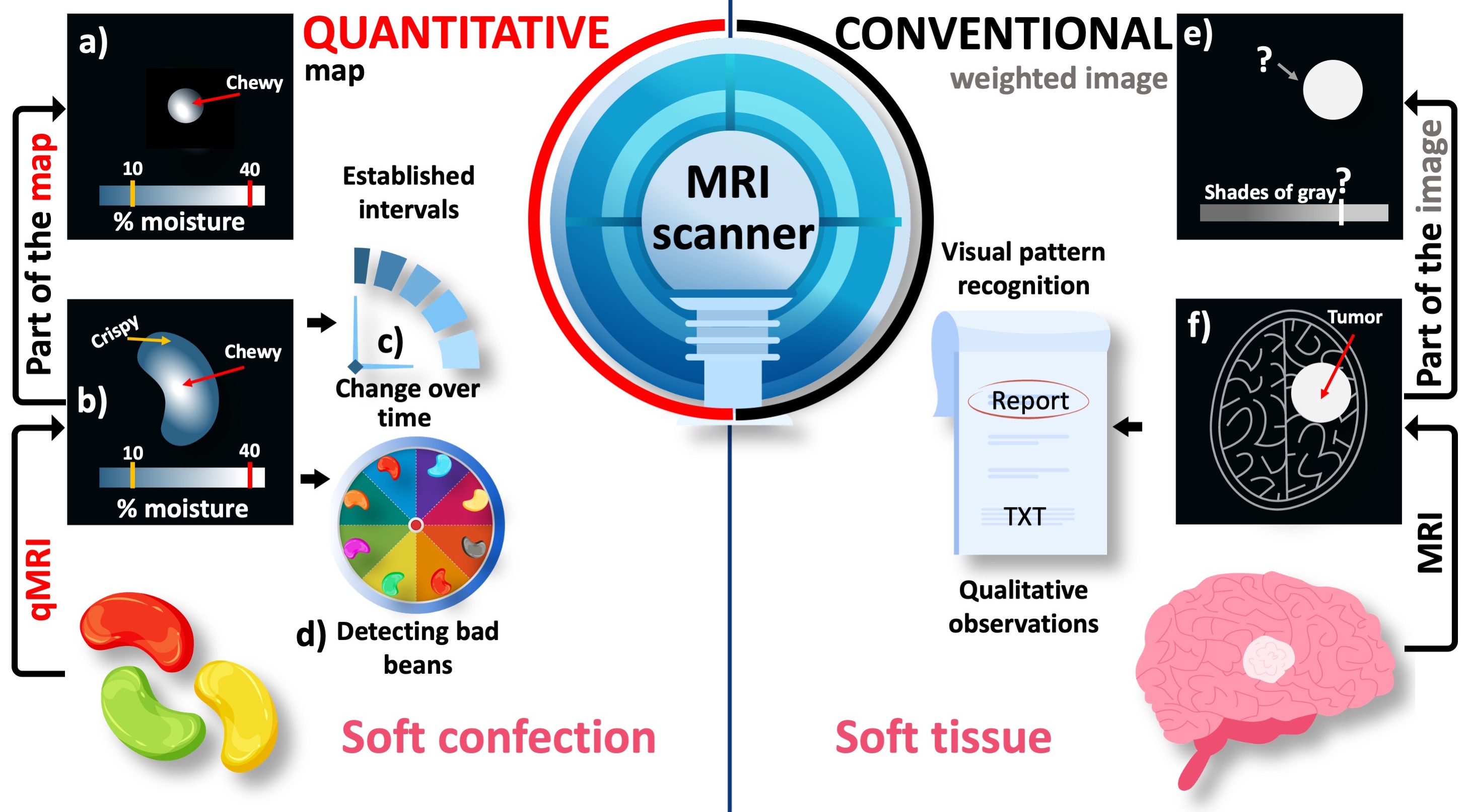 Quantitative vs conventional MRI