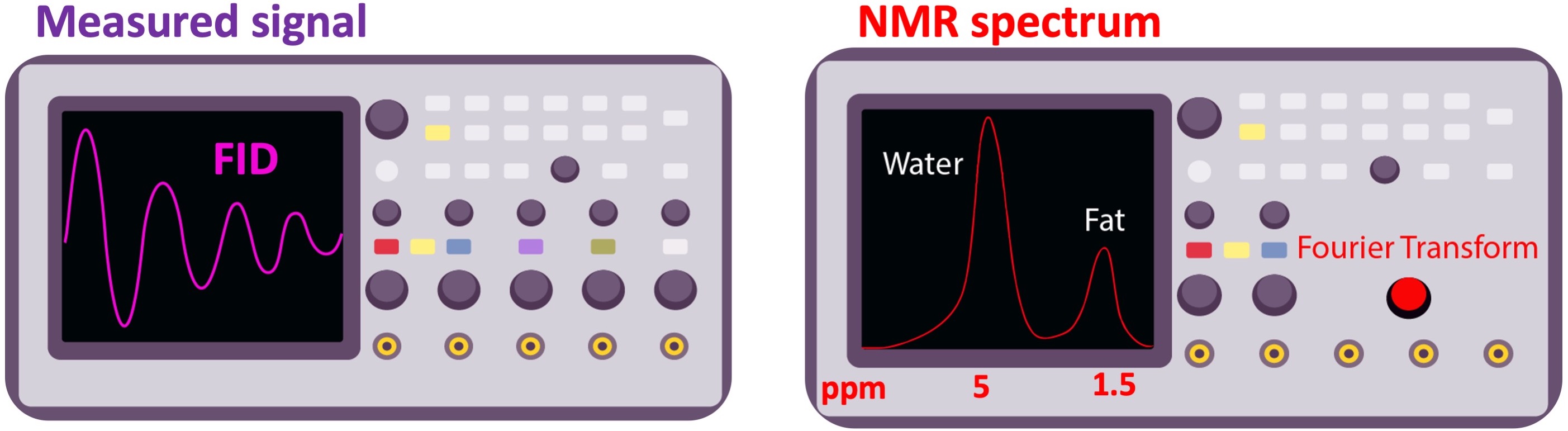 The free induction decay (FID) signal (left), and its frequency spectrum (right). As the electron of the hydrogen atom is more shielded in fat, its peak appears on the lower end (right, by convention) of the chemical shift spectrum. The chemical shift of water and fat is separated by 3.5 part-per-million (ppm), which corresponds to 146 Hz frequency difference at 1T (3.5^{−6}γ).