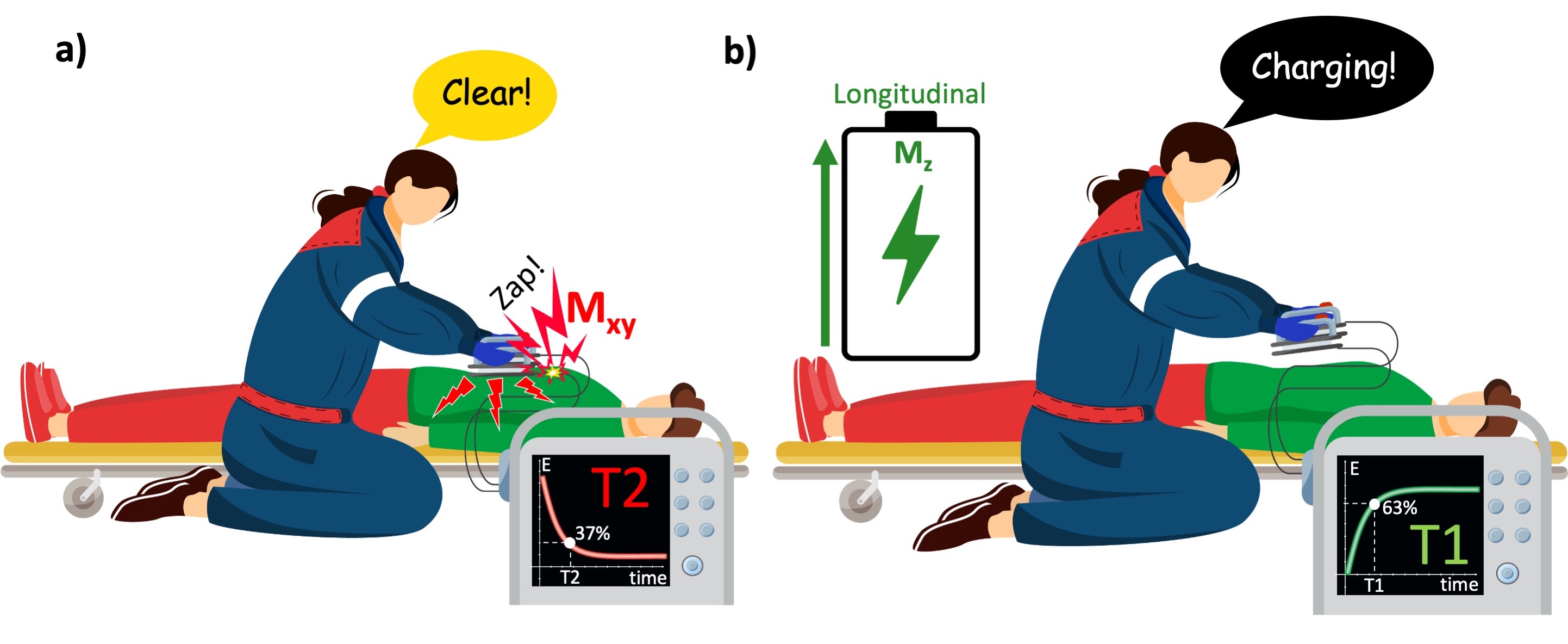 Time-dependent behavior of the transverse and longitudinal magnetization can be compared with how the capacitor of a defibrillator empties and recharges. a) When the paramedic activates the shock paddles, the capacitor quickly discharges its energy to the transverse plane (patient’s body). b) To deliver the shock again, the capacitor must be recharged, which happens quickly, yet relatively much slower than it discharges.