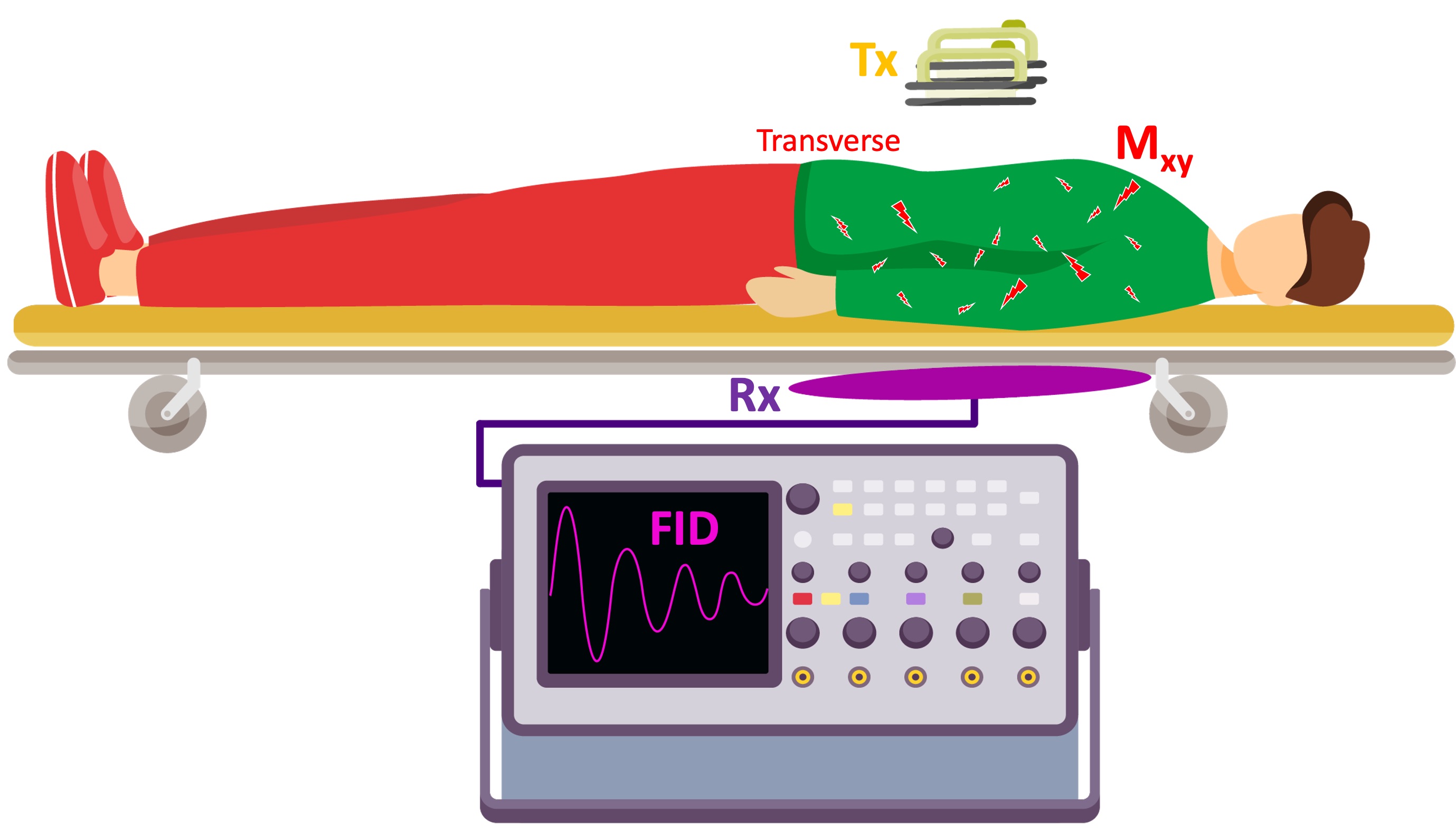 A hypothetical calibration setup: To have a measure of the energy delivered to the patient, a conductive loop is placed under the stretcher. After the shock is delivered, the current induced in the loop is captured by a oscilloscope.