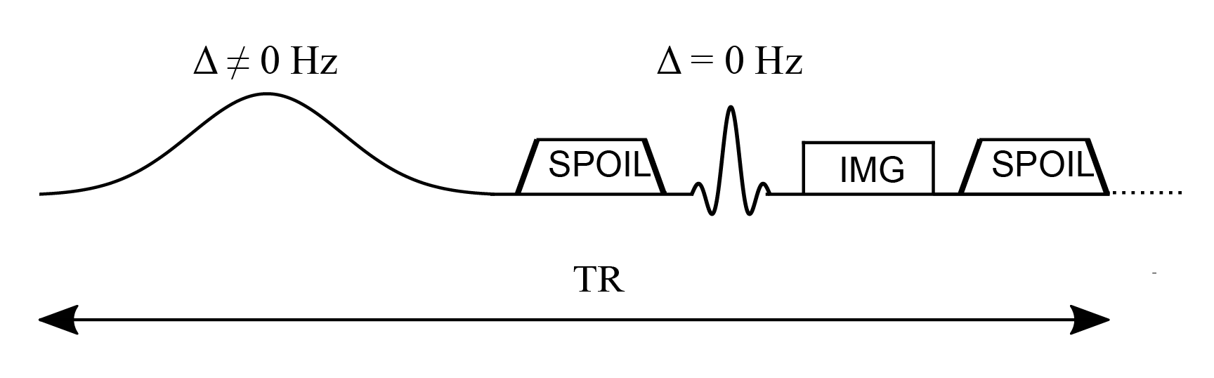 Simplified pulse sequence diagram of a magnetization transfer spoiled gradient (MT-SPGR) experiment with an MT pulse followed by a spoiler gradient to destroy any transverse magnetization before the application of the on-resonance excitation pulse.