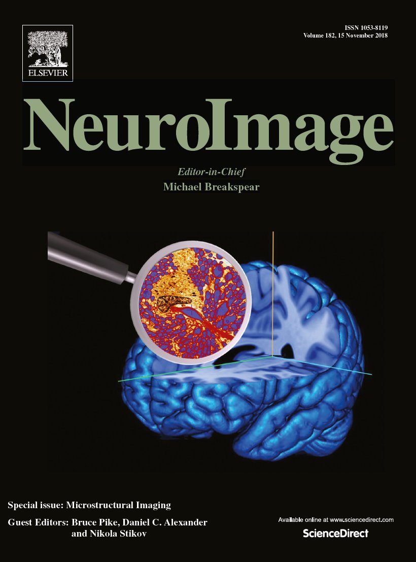 NeuroImage special issue on microstructure