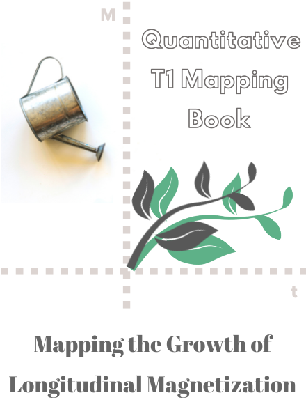 Interactive T1 mapping book