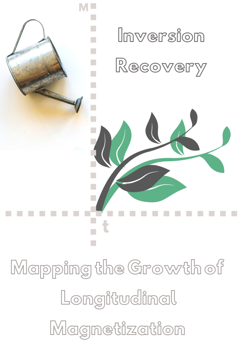 Relaxometry Series: Inversion Recovery