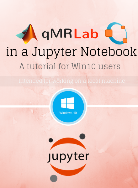 qMRLab in a Jupyter Notebook: A tutorial for Win10 users