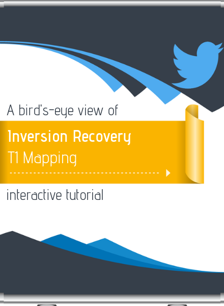 A bird's-eye view of the inversion recovery T1 mapping interactive tutorial