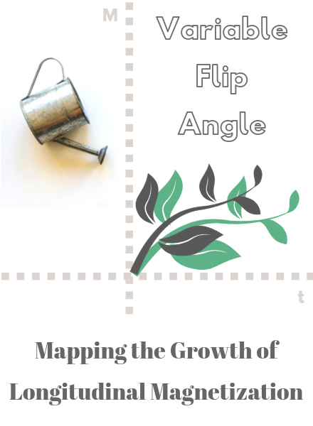Relaxometry Series: Variable Flip Angle
