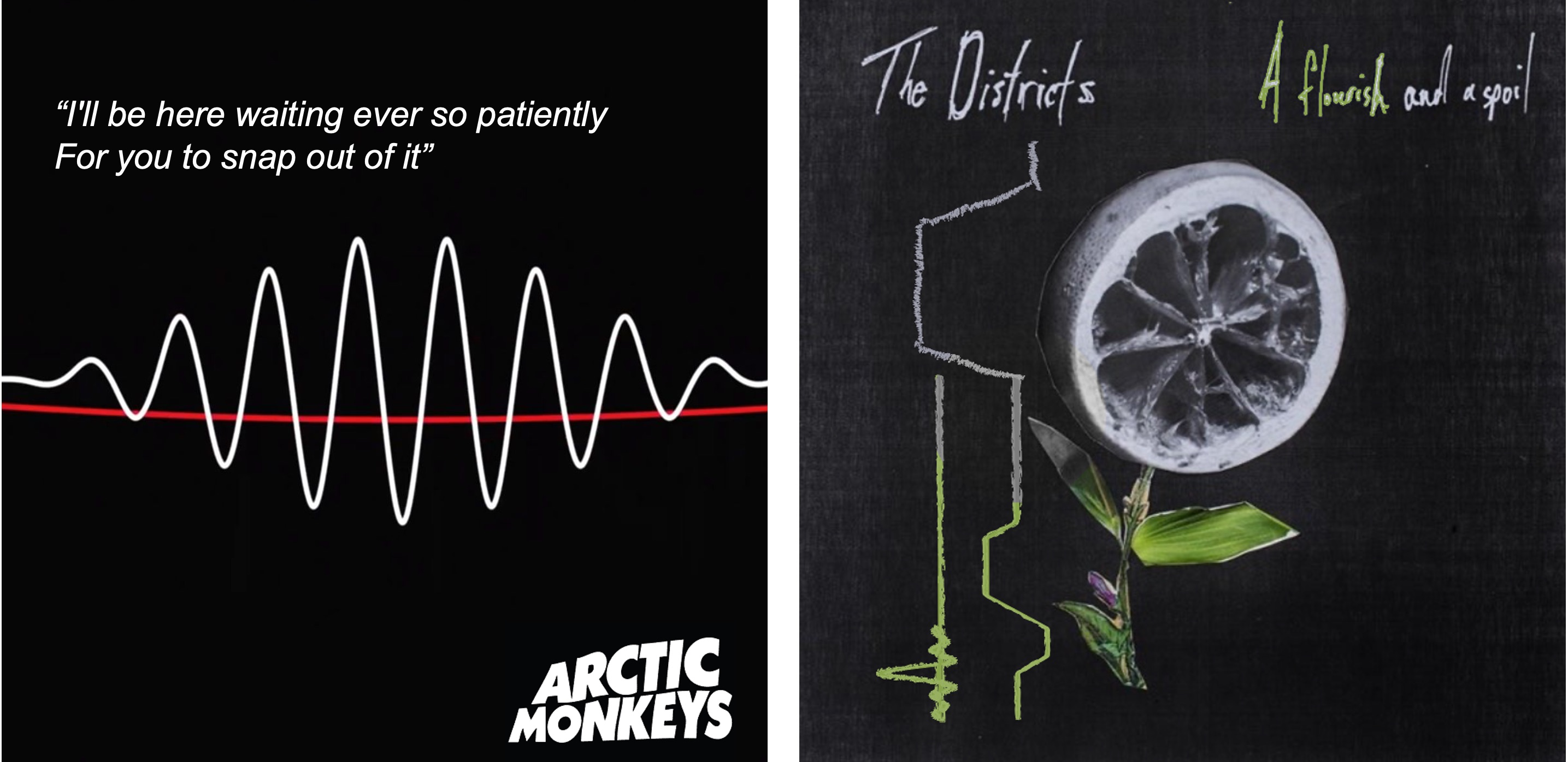 Two (slightly modified) album covers by the Artic Monkeys and the Districts summarizing spin-echo (SE) and spoiled gradient-echo (SPGR) sequences.