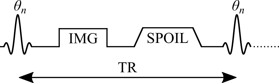 Simplified pulse sequence diagram of a variable flip angle (VFA) pulse sequence with a gradient echo readout. TR: repetition time, \theta_{n}: excitation flip angle for the nth measurement, IMG: image acquisition (k-space readout), SPOIL: spoiler gradient.