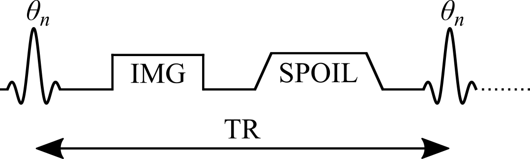 Simplified VFA pulse sequence: an excitation flip angle theta n, a gradient echo image readout and a spoiler gradient, repeated every TR.