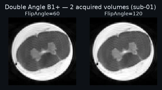 The 2 acquired volumes, each labeled with the identity the model reads it by.