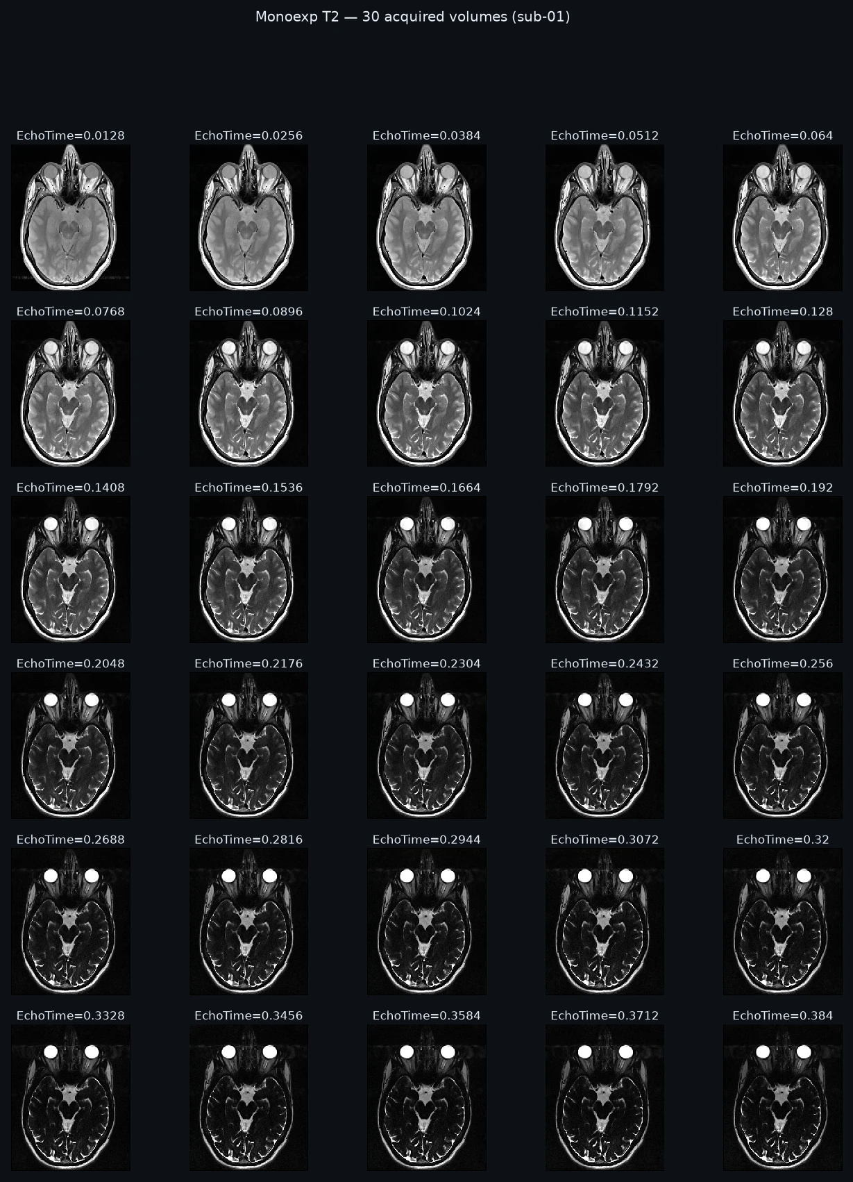 The 30 acquired volumes, each labeled with the identity the model reads it by.