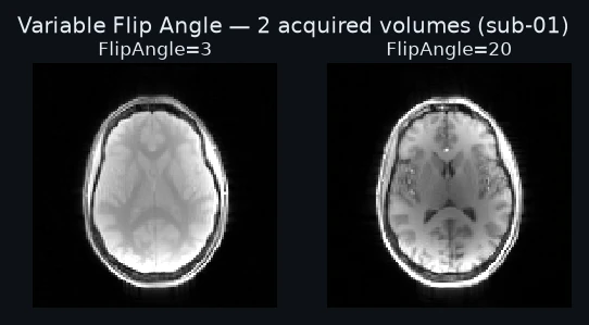 The 2 acquired volumes, each labeled with the identity the model reads it by.