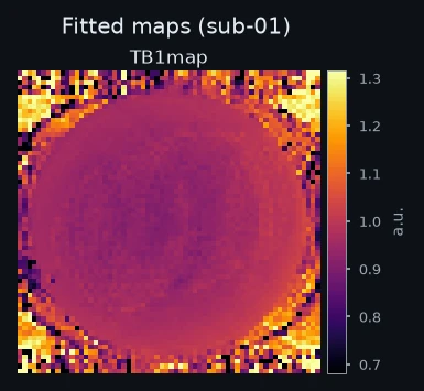 Fitted maps for one example subject.