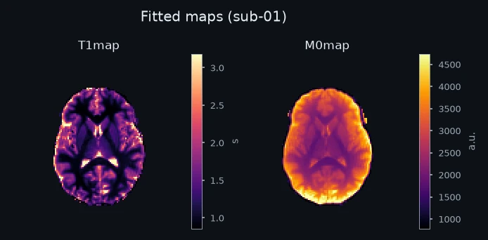 Fitted maps for one example subject.