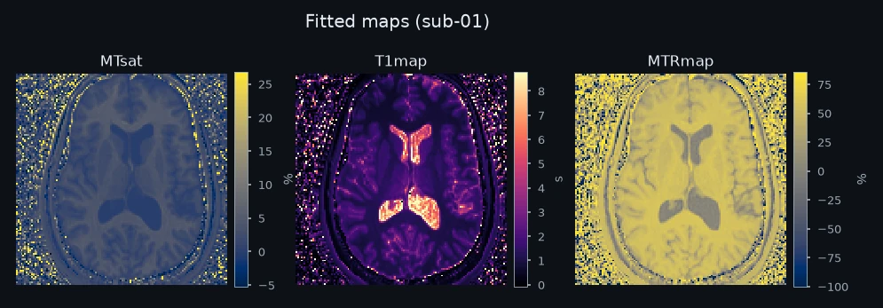 Fitted maps for one example subject.