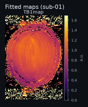 Fitted maps for one example subject.