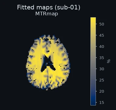 Fitted maps for one example subject.
