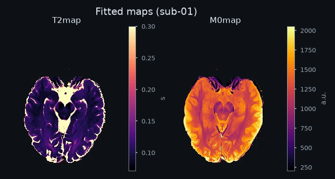 Fitted maps for one example subject.