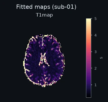 Fitted maps for one example subject.